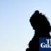 Regulation cannot eliminate surrogacy risks | Letter