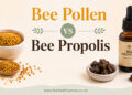 Bee Pollen vs Propolis: Benefits, Differences and Which Is Better?