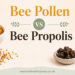 Bee Pollen vs Propolis: Benefits, Differences and Which Is Better?