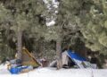 Unhoused people and wildlife are increasingly coming into contact. Here’s what can be done to protect them