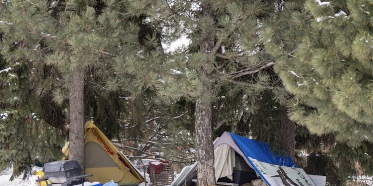 Unhoused people and wildlife are increasingly coming into contact. Here’s what can be done to protect them