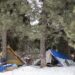 Unhoused people and wildlife are increasingly coming into contact. Here’s what can be done to protect them