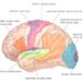 What I found when I scanned the brains of kids creating tunes on the piano