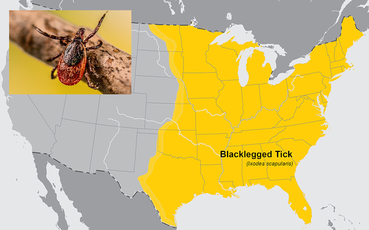 A map showing the estimated range of the tick