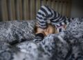 Time for a clock change? Congress considers daylight saving time … again