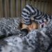 Time for a clock change? Congress considers daylight saving time … again