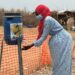 Cholera still kills thousands each year – in places without clean water, it’s far from history