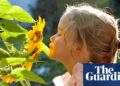 Smelling test: children need education in sniffing aromas, scientist says