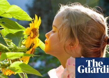Smelling test: children need education in sniffing aromas, scientist says