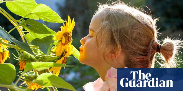 Smelling test: children need education in sniffing aromas, scientist says