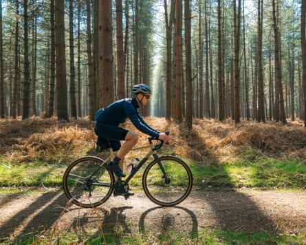 Cyclist on a sunny forest trail.