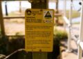 Campaign warns of perils UK waters can pose for dogs and owners