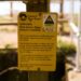 Campaign warns of perils UK waters can pose for dogs and owners