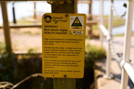 Campaign warns of perils UK waters can pose for dogs and owners