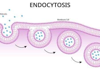 First mRNA flu shot approved by FDA bodes well for improving drugs of the future – though a few hurdles remain before mRNA can move beyond vaccines