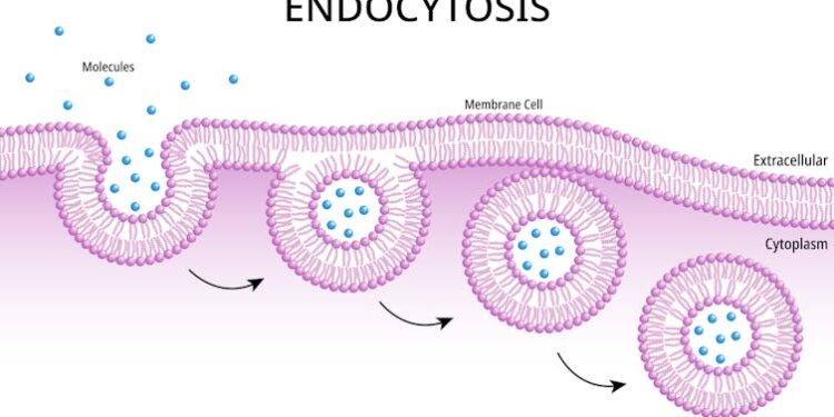 First mRNA flu shot approved by FDA bodes well for improving drugs of the future – though a few hurdles remain before mRNA can move beyond vaccines