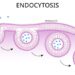 First mRNA flu shot approved by FDA bodes well for improving drugs of the future – though a few hurdles remain before mRNA can move beyond vaccines