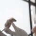 How to do your own online health research like a scientist – a biostatistician’s step-by-step guide
