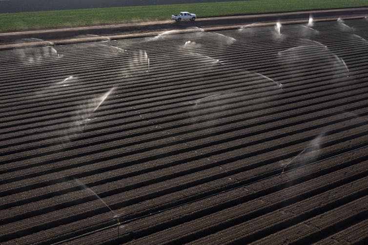 An aerial view of a field with sprinklers spraying water on the crops.