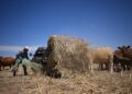 Chronic pain is missing from America’s heat warnings