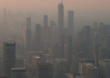 Vulnerability to wildfire smoke is in our genes, thanks to an evolutionary quirk