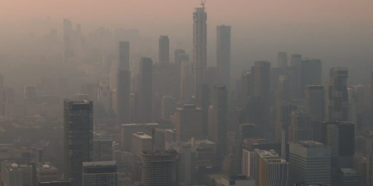 Vulnerability to wildfire smoke is in our genes, thanks to an evolutionary quirk