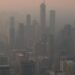 Vulnerability to wildfire smoke is in our genes, thanks to an evolutionary quirk