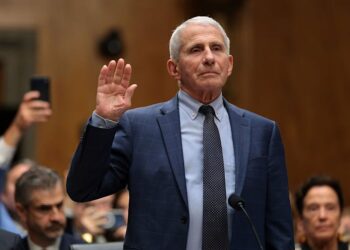 Trust is a behavior, not a credential – and that explains the Rodgers-Fauci divide