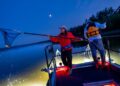 How we found a new transmissible cancer in bullhead catfish