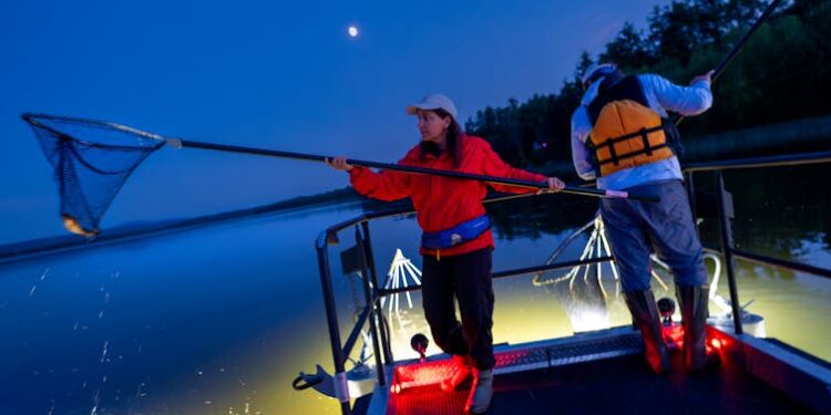 How we found a new transmissible cancer in bullhead catfish