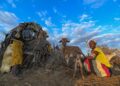 Relentless heat and drought take a toll on herders’ physical and mental health, in Kenya and the US
