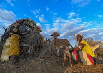 Relentless heat and drought take a toll on herders’ physical and mental health, in Kenya and the US