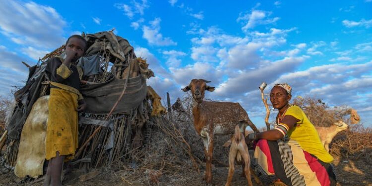 Relentless heat and drought take a toll on herders’ physical and mental health, in Kenya and the US