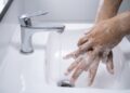 How does ‘Salmonella’ contaminate everything under the sun? A food safety specialist explains how you can stop its spread