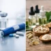 GLP-1 Medications vs Wellness Peptides Explained