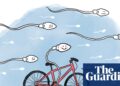 Is it true that … cycling affects fertility?
