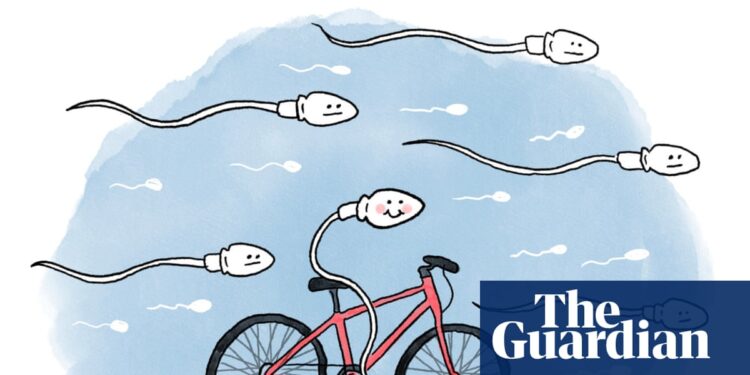 Is it true that … cycling affects fertility?