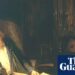 I’m nearly 30, a virgin and feel lonely. The manosphere is trying to draw me in – where else can I seek assurance? | Leading questions