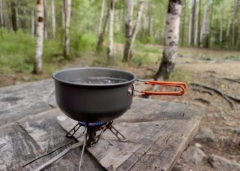 Could you survive The Oregon Trail? An emergency medicine doctor offers tips on how to not die in the great outdoors