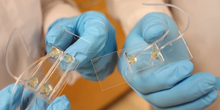 We designed a new way to build miniature fluidic devices to enable personalized cancer treatment