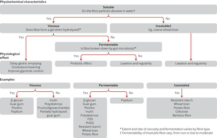 Flow chart of various types of fiber, including soluble, viscous fermentable fibre; soluble, viscous, non-fermentable fibre; soluble, non-viscous, fermentable fibre; soluble, non-viscous, fermentable fibre; insoluble, partially