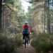 ‘It’s hard to imagine the fires of July’: a bike ride through the Cairngorms in Scotland