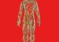 Feeling wired? The truth about ‘nervous system resets’