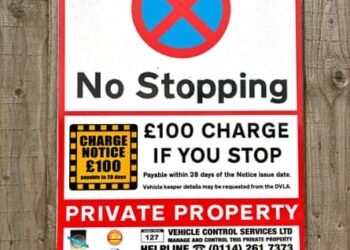 Stung with a parking fine for an 18-second airport stop to tackle a wasp