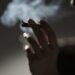 Nicotine pouches, vaping or cigarettes: Which nicotine product is actually the least harmful?