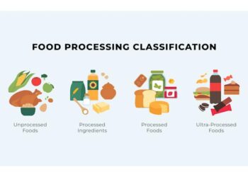 The science and politics behind the panic over ultraprocessed foods