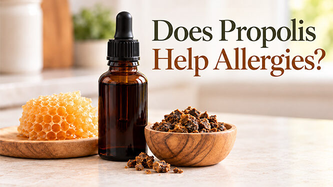 Does Propolis Help With Allergies? What the Research Says